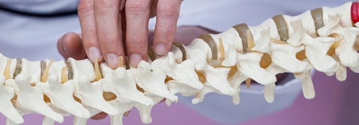 Working with Chiropractic Naperville IL Working with Chiropractic Naperville IL